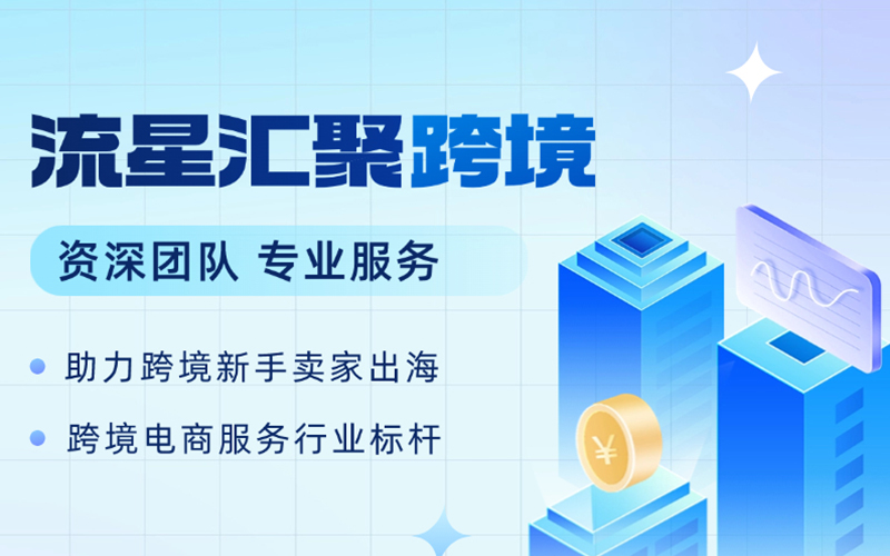 武汉流星汇聚：外贸发展与政策双...