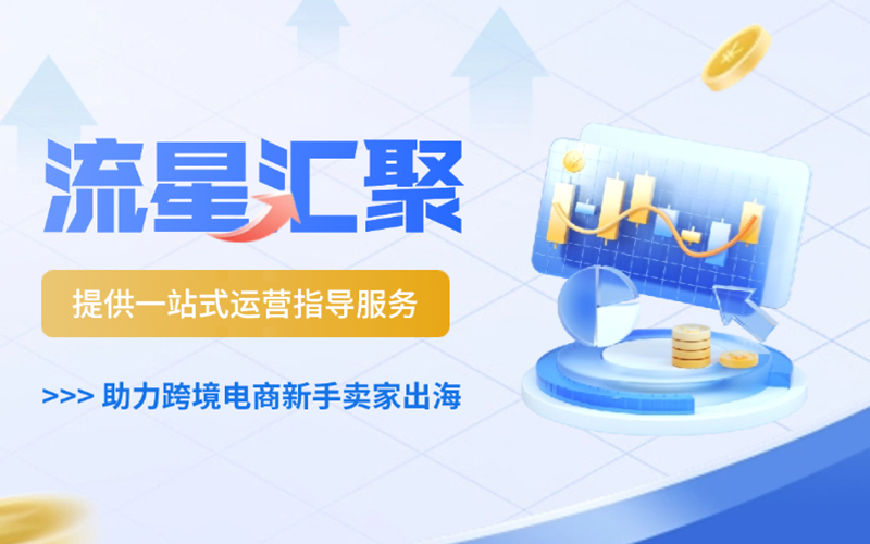 武汉流星汇聚：以客户为中心，助力跨境电商新手，共抓行业发展新机遇