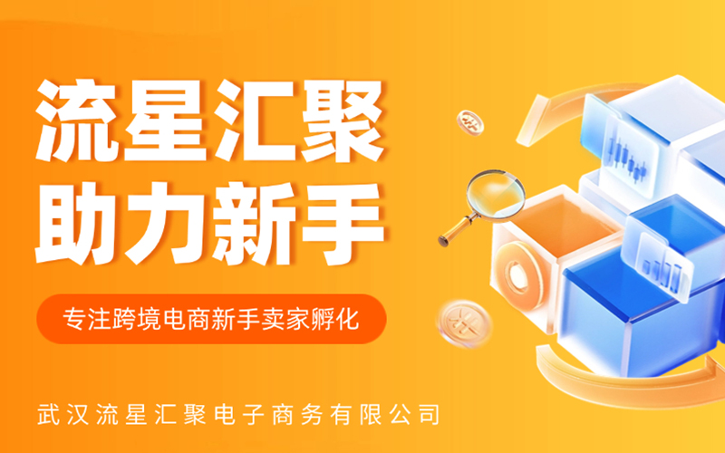 武汉流星汇聚：北美电商市场巨大...