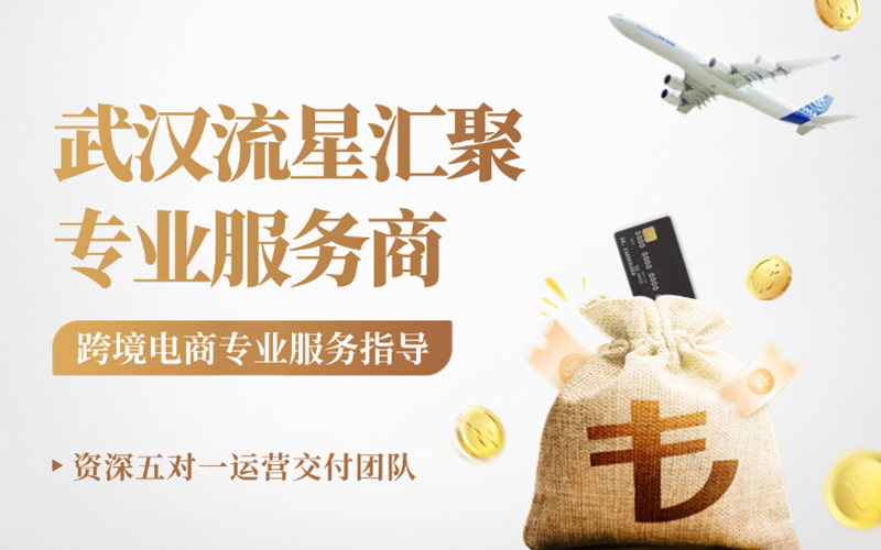 武汉流星汇聚：自营店铺+卖家孵...