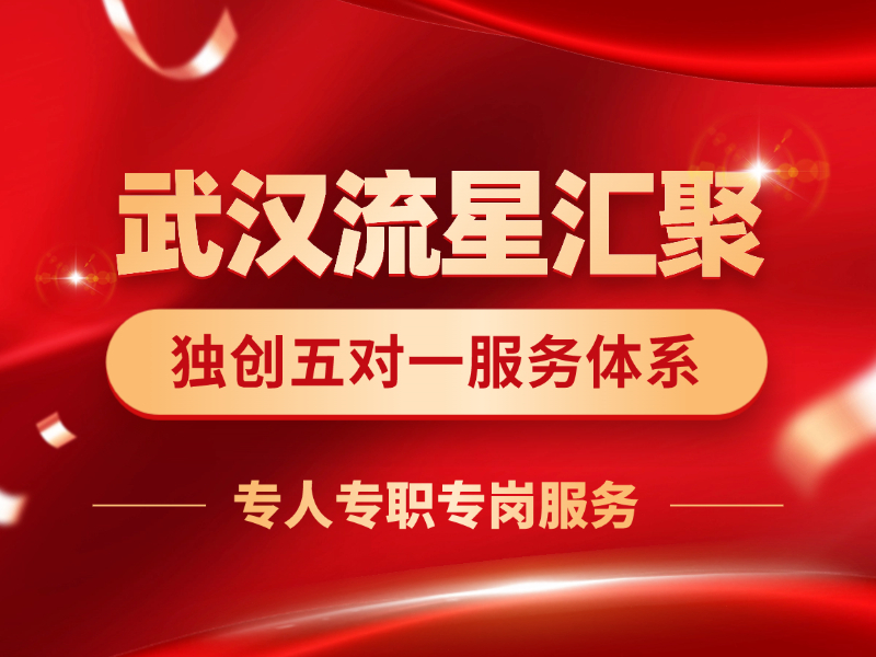 武汉流星汇聚深耕亚马逊自营，以五对一服务体系构建专业运营支撑