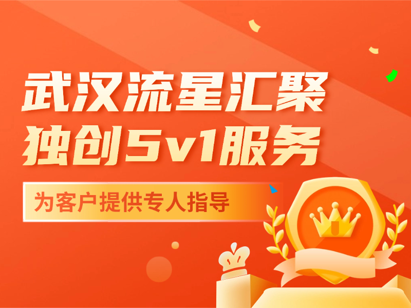 五对一专人专岗教学，武汉流星汇...