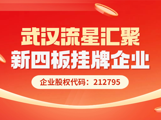 从自营到资本舞台！武汉流星汇聚...